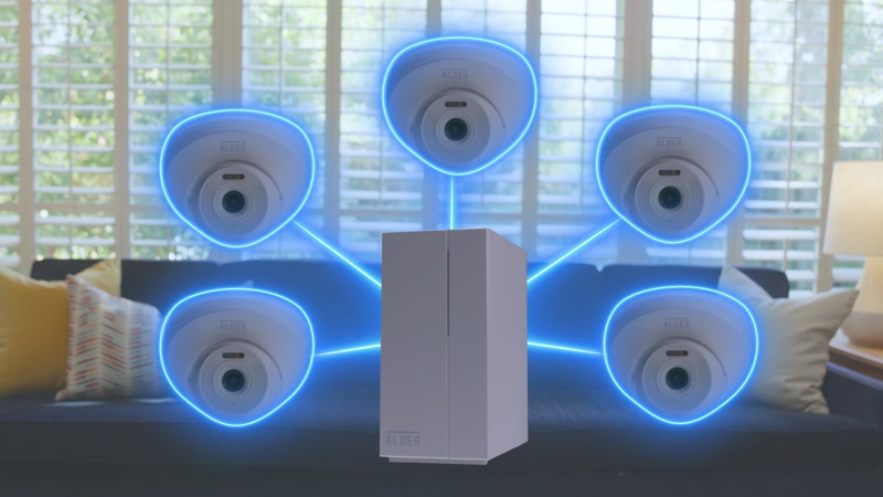 Alder NVR system with cameras connected to central hub
